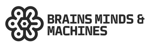 BMM